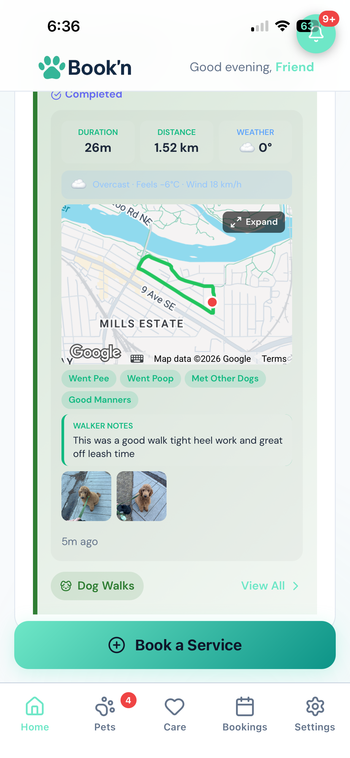 Customer app showing the finished walk report: 26 minutes, 1.52 km, the weather, a route map, walk-note chips such as Went Pee and Met Other Dogs, the walker's comments, two photos and a Book a Service button